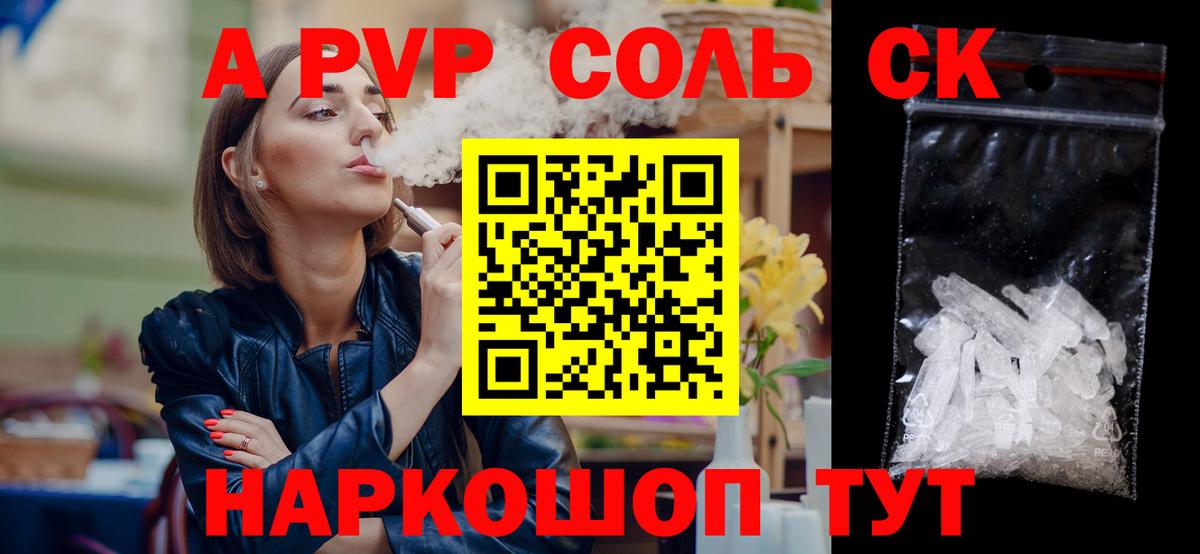 Alfa_PVP СК Королёв