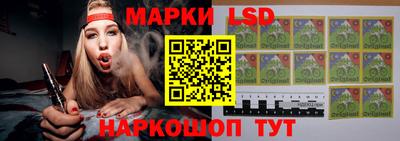 прущие грибы Будённовск
