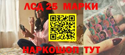 прущие грибы Будённовск