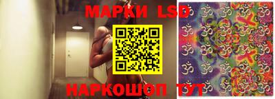 прущие грибы Будённовск