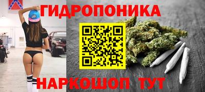 прущие грибы Будённовск