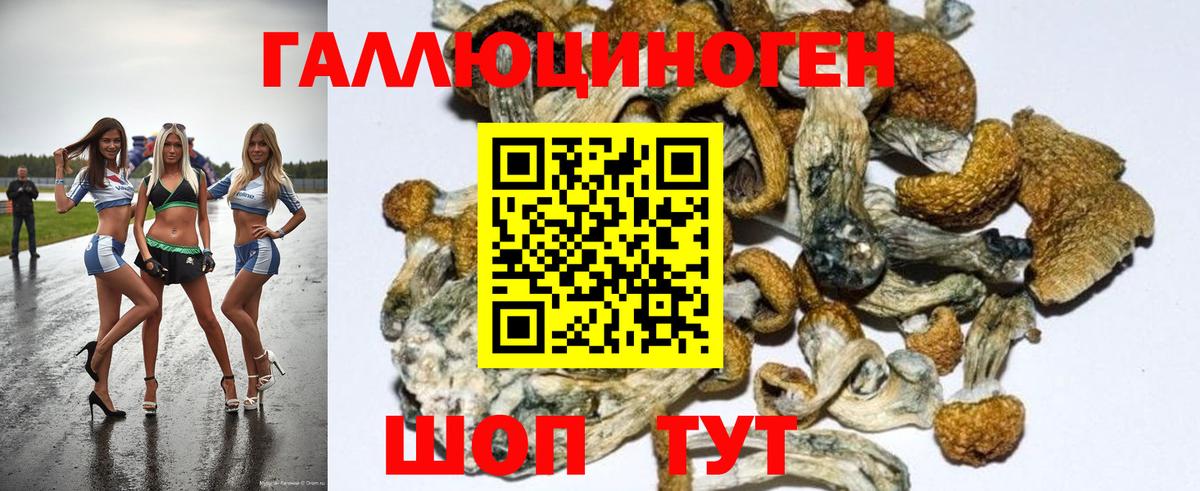 Псилоцибиновые грибы GOLDEN TEACHER Королёв