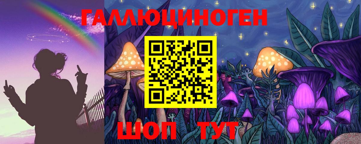 Галлюциногенные грибы Psilocybine cubensis  Вход с VPN  Королёв  Галлюциногенные грибы Psilocybe 